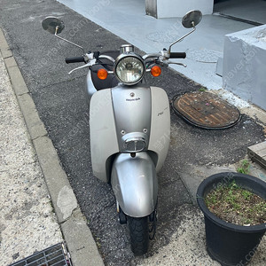 혼다 조르노50cc