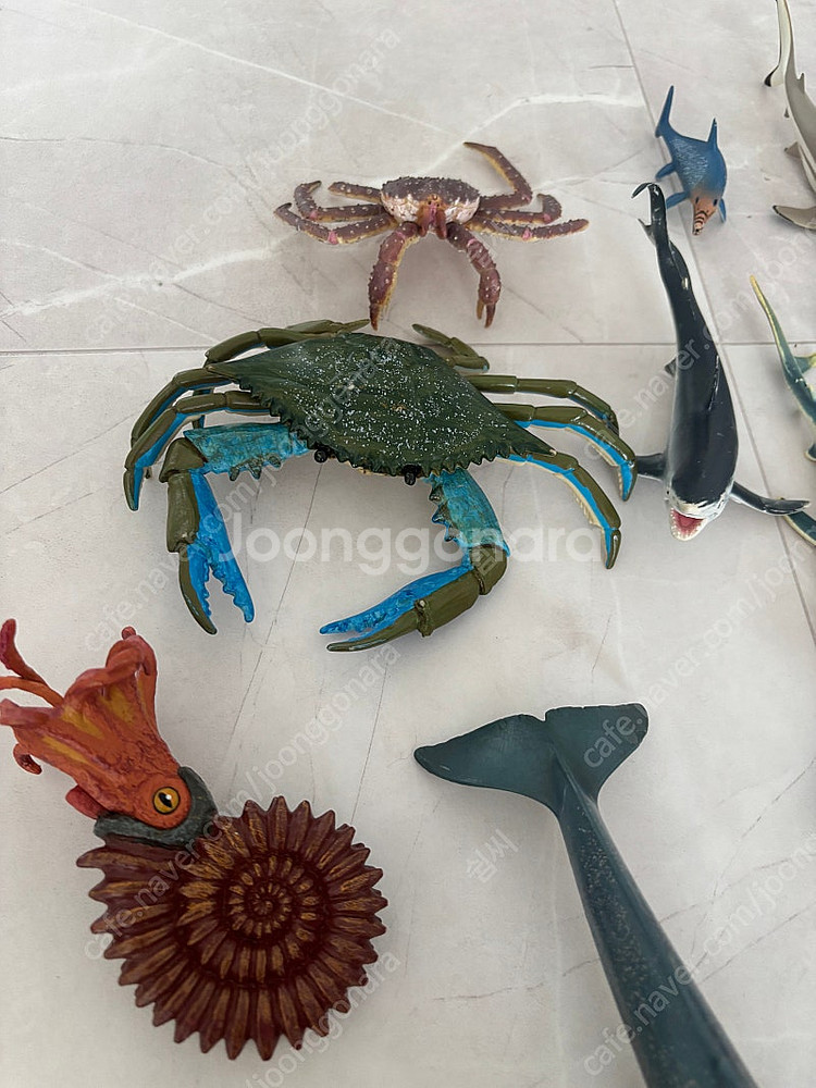 해양 생물 피규어 20종(슐라이히, 콜렉타, 파포)--3