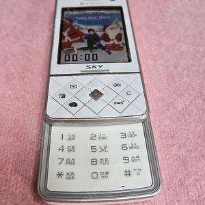 IM-S310L 스카이퀼트폰