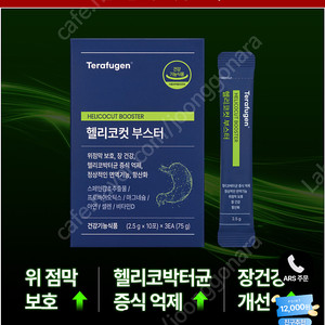 테라퓨젠 헬리코컷