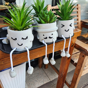 선인장 모형