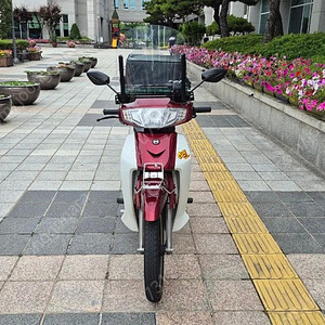 25년 시티베스트 신차급 판미니