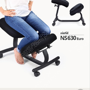 니스툴그로우 척추(디스크)자세교정의자 nistul NS630 Euro