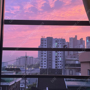 추천인X 여러개 삽니다. 누구나 가능