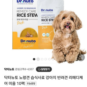 반려견 닥터뉴토 리메디 미음 간식 10개 미개봉