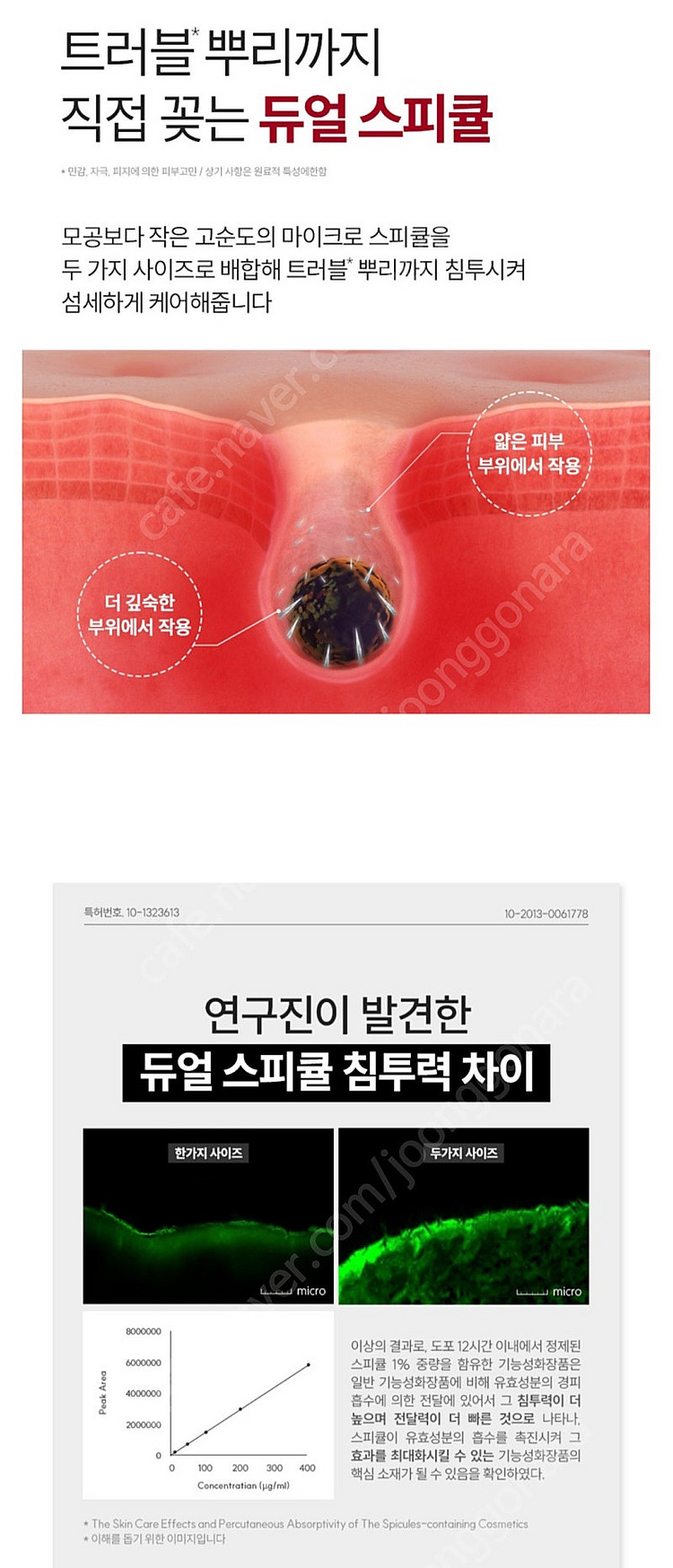 옵세로 스피큘 스팟 에센스 크림 ( 트러블 여드름 진정...--5