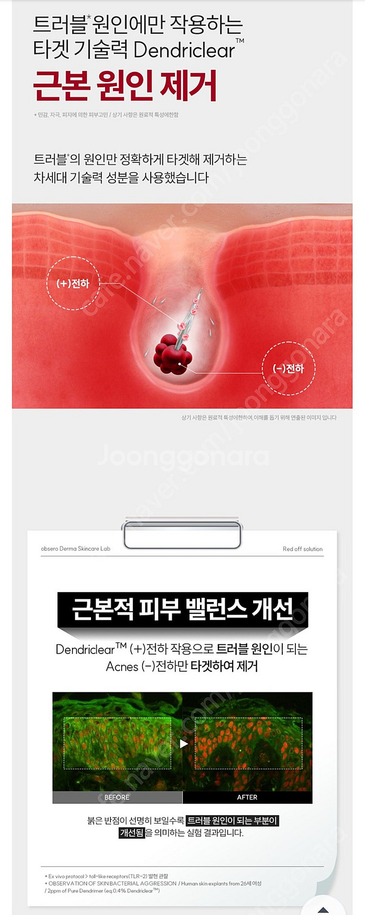 옵세로 스피큘 스팟 에센스 크림 ( 트러블 여드름 진정...--6