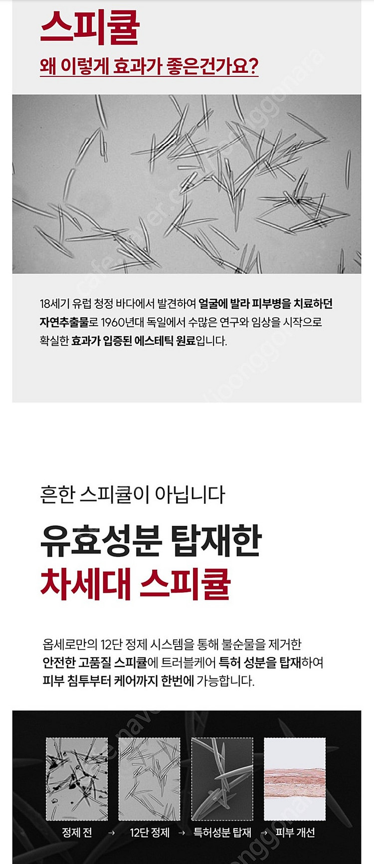 옵세로 스피큘 스팟 에센스 크림 ( 트러블 여드름 진정...--8