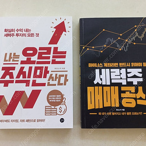 나는 오르는 주식만 산다 / 세력주 매매 공식 / 와조스키