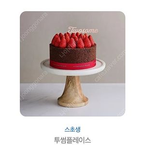 투썸 스토베리초콜렛 생크림