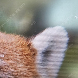 s25+ 플러스 2대 미개봉구매합니다