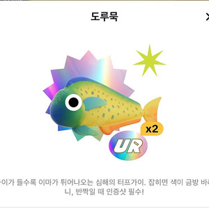 틱톡 낚시 도루묵 <> 실러캔스