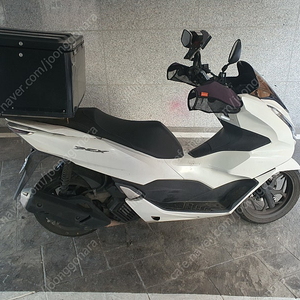 pcx 21년식 66000만키로