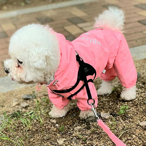 퍼피엔젤 핑크 레인 코트 (2XL)