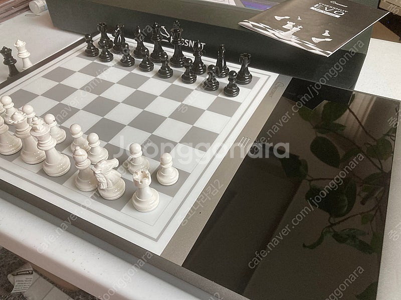 체스넛 에보 CHESSNUT EVO 체스AI 체스컴퓨터--3