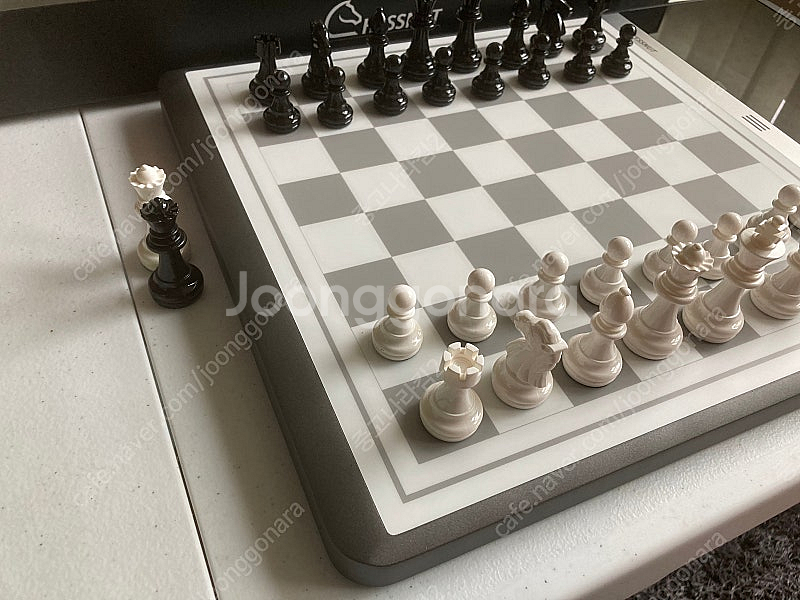체스넛 에보 CHESSNUT EVO 체스AI 체스컴퓨터--4