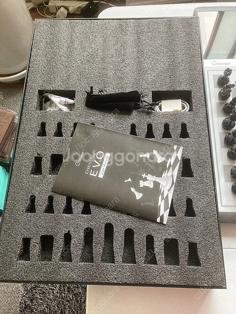 체스넛 에보 CHESSNUT EVO 체스AI 체스컴퓨터--5