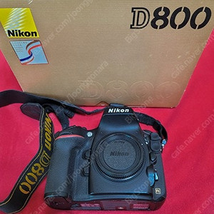 니콘 D800