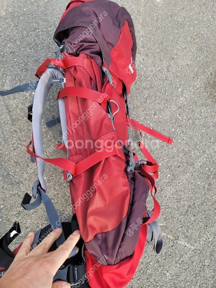 도이터 에어컨텍트 40+10 SL배낭 처분합니다.--3