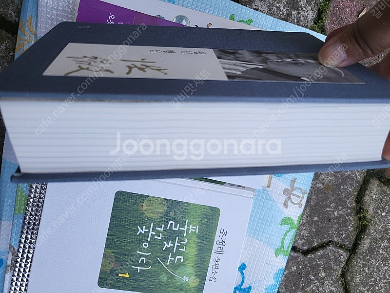 성철 평전--1