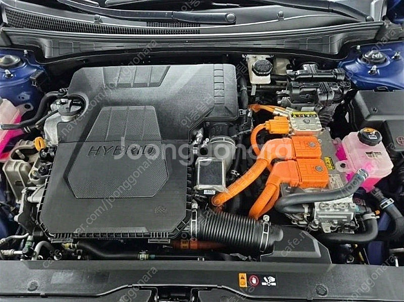 아반떼 하이브리드 중고 아반떼 더 뉴 아반떼 CN7 하...--6