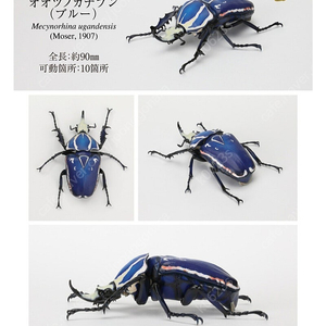 반다이 생물대도감 레어 컬러