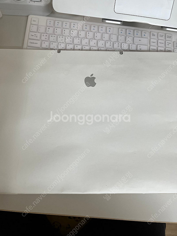 애플 쇼핑백 대짜 팝니다.--1