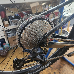 첼로 크르노 50 카본 mtb