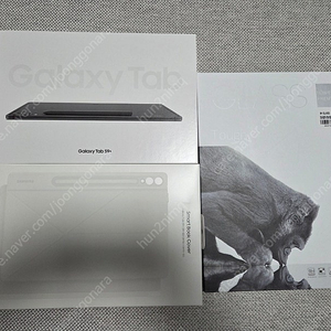 갤럭시탭S9플러스 256 와이파이 팝니다.
