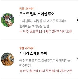 에버랜드 6월 26일 ~ 7월6일 사파리스페셜투어 / 로스트밸리스페셜투어 양도