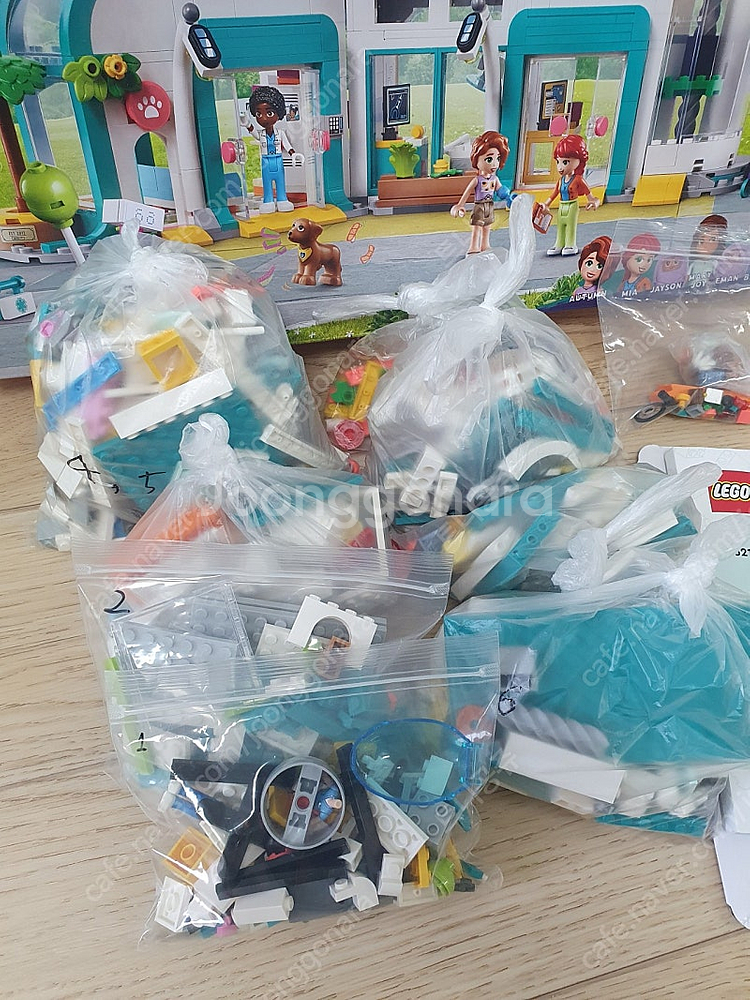 레고 (하트레이크 시티 병원) 42621--2