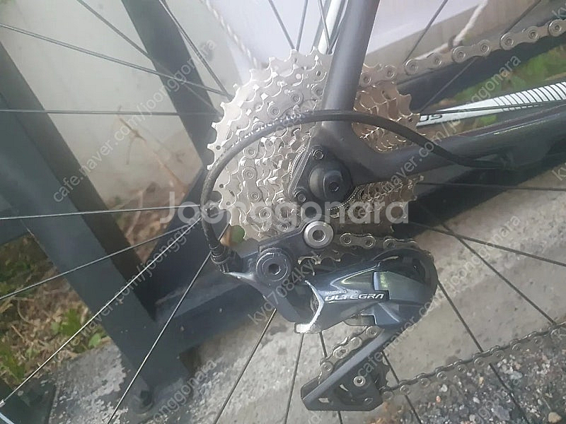 포커스 이자르코맥스 카본 울테그라 로드 자전거 휠셋 메...--2