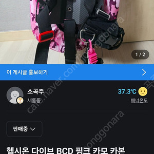 헬시온 핑크카모 카본