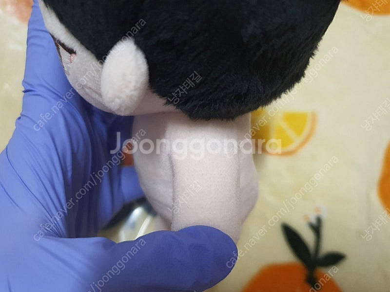 하이큐 말콩큐 미야 오사무 말콩사무 말콩큰삼 15cm ...--4