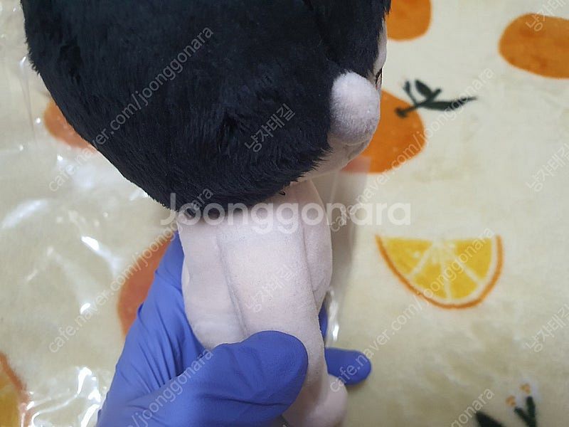 하이큐 말콩큐 미야 오사무 말콩사무 말콩큰삼 15cm ...--5