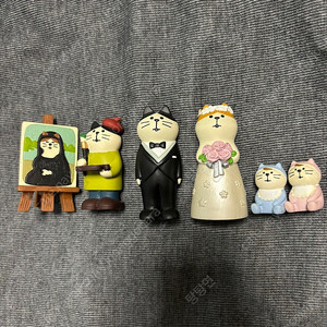 데꼴 고양이 판매