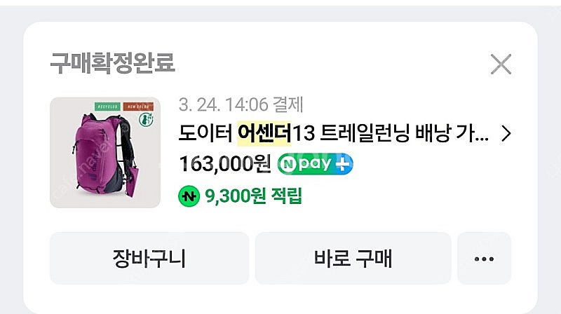 도이터 어센더13--8