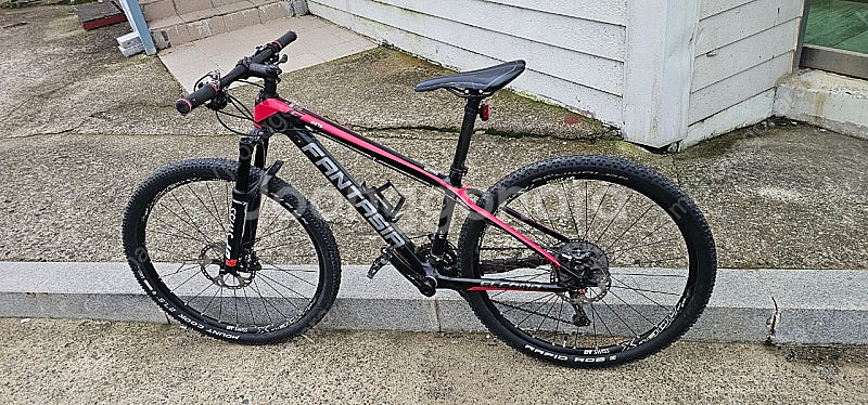 엘파마 환타지아G 카본 MTB 산악자전거--0