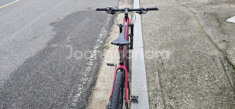 엘파마 환타지아G 카본 MTB 산악자전거--9