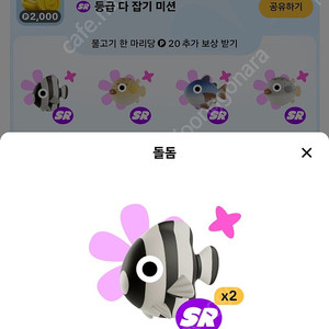 틱톡 물고기 팔아요(돌돔,복어)