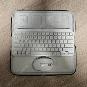 Mx Keys Mini for Mac & MX Anywhere 3 For Mac 세트를 판매합니다(키보드케이스 포함)