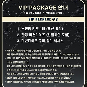 크리스토퍼 내한공연 CHRISTOPHER VIP 패키지 판매합니다
