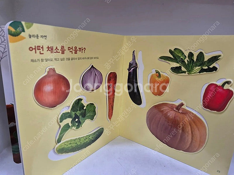 놀라운자연--6