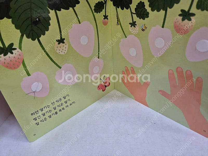 놀라운자연--7