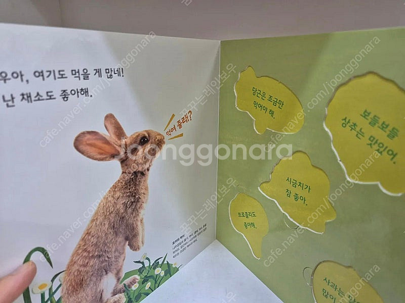 놀라운자연--9