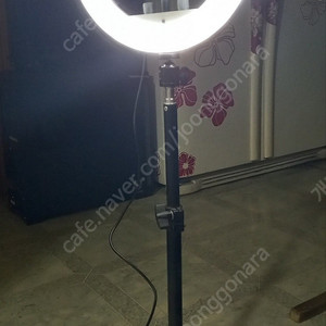 링라이트 14900원