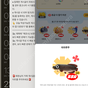 틱톡 피라루쿠 /랜턴피시