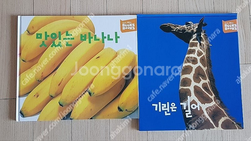 전집-웅진호기심백과큐(전50)뉴EQ의천재들(전64)판도...--9
