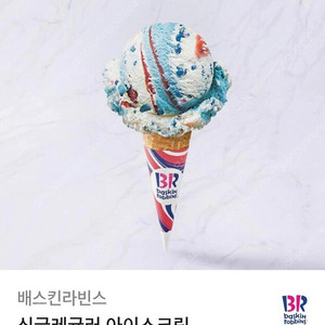 배스킨라빈스 싱글레귤러 아이스크림