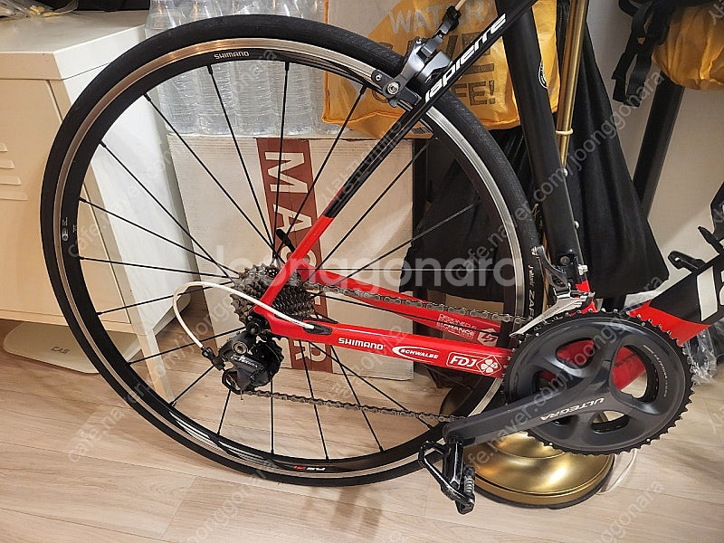 라피에르 젤리우스 sl 600 fdj팀 풀카본 로그자전...--5